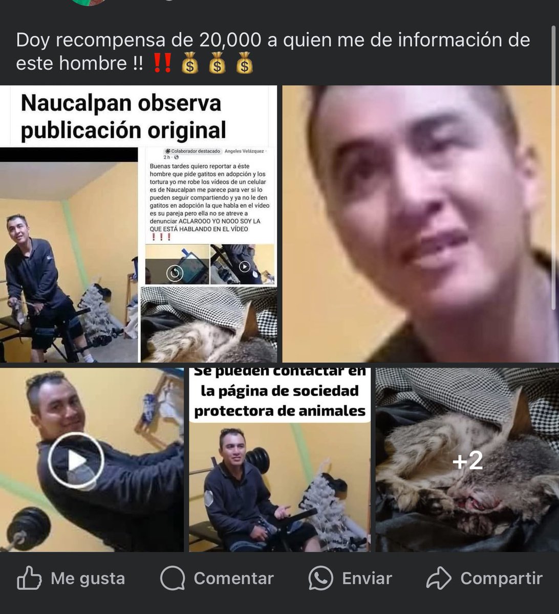 DelMontonAL's tweet photo. #ULTIMAHORA 
O hace algo @GobNau, o linchan a este pendejo.
Aunque como se ve, sería lo mejor.
Por si es así, ni se metan. 
@QuePocaMadre_Mx @SoyNaucalpan @Mr_Civico @RealidadNaucal2 @adn40 @c4jimenez https://t.co/DCaTzCWUa2