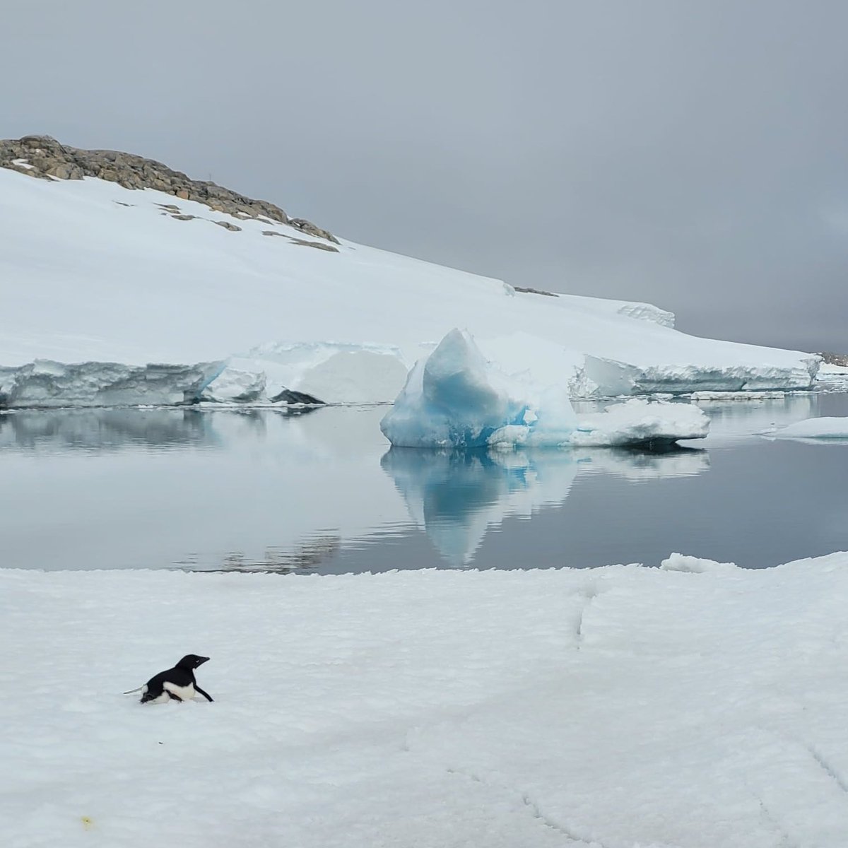 Thrilled for my research team who have arrived at Casey station in #Antarctica and are soon to head out to the Bunger Hills. They’ll survey incredibly remote &amp; isolated marine communities that live under the #seaice. This is a photo by my PhD student Jakob.