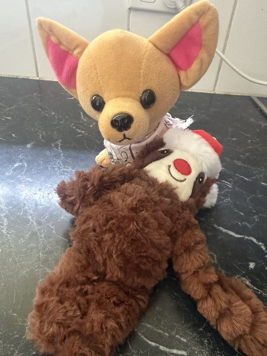 Mini_Tink_'s tweet image. Happy #slothmas everyone! I am having a great lazy sloth day to mark this occasion 🩷

#minitink #dogsoftwitter #plushiesoftwitter #tatertotsquad