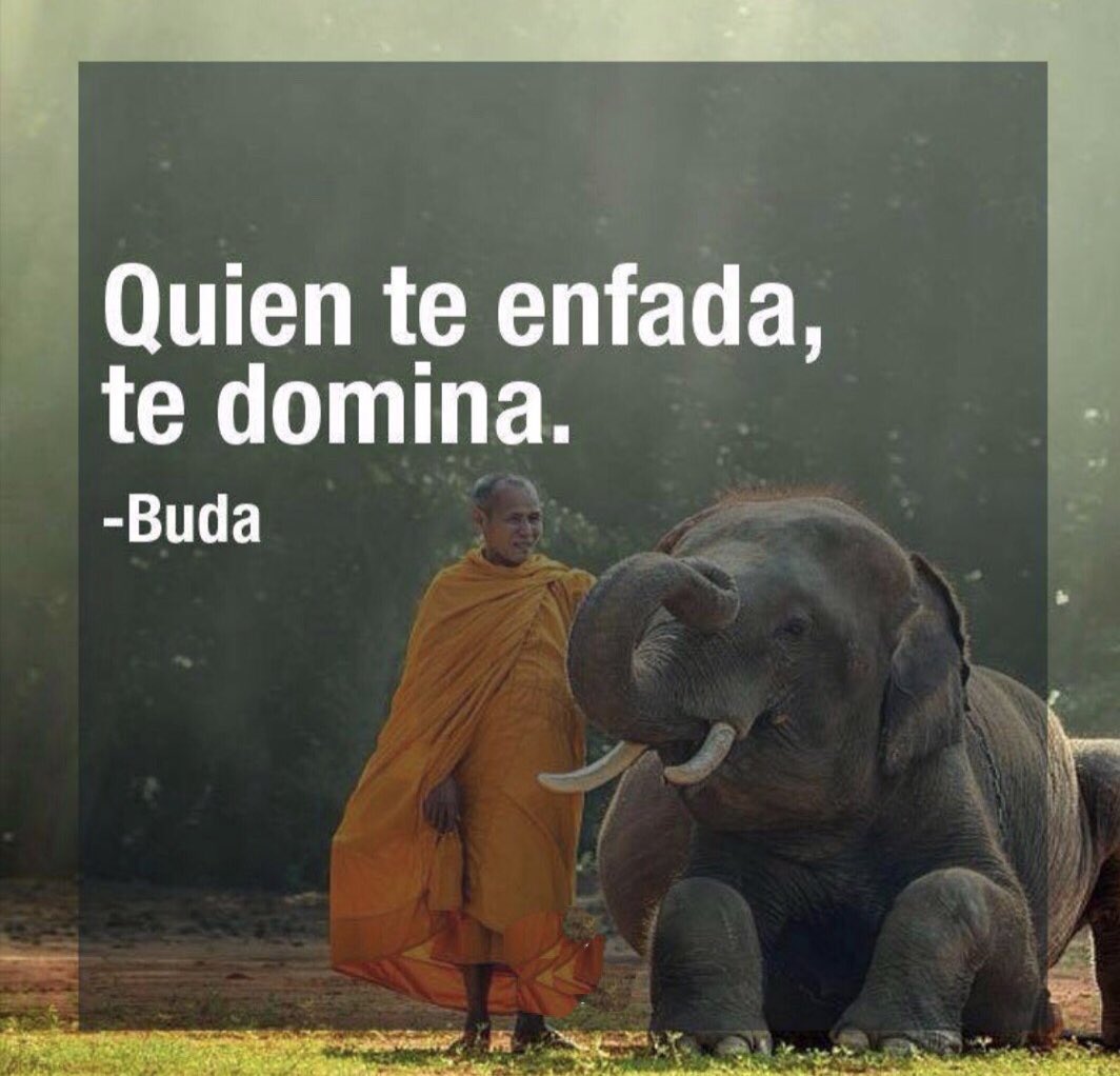 Raúl Domínguez (@raulitod) on Twitter photo 