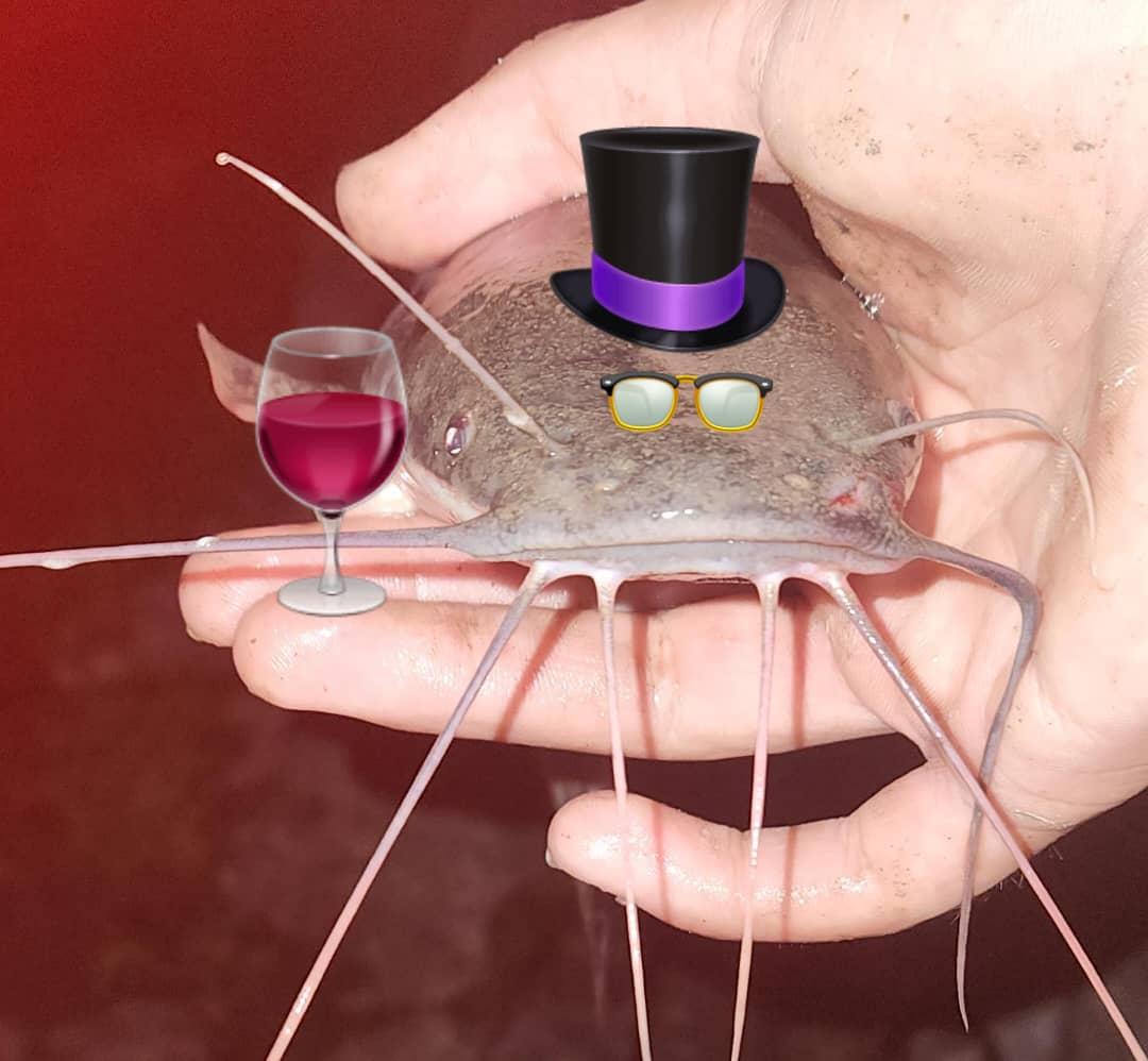 Me encanta cuando respondes uno o dos post a una persona y luego te aparecen todos sus post o comentarios para que parezcas un maldito simp, Twitter creando el caos desde tiempos inmemoriales.