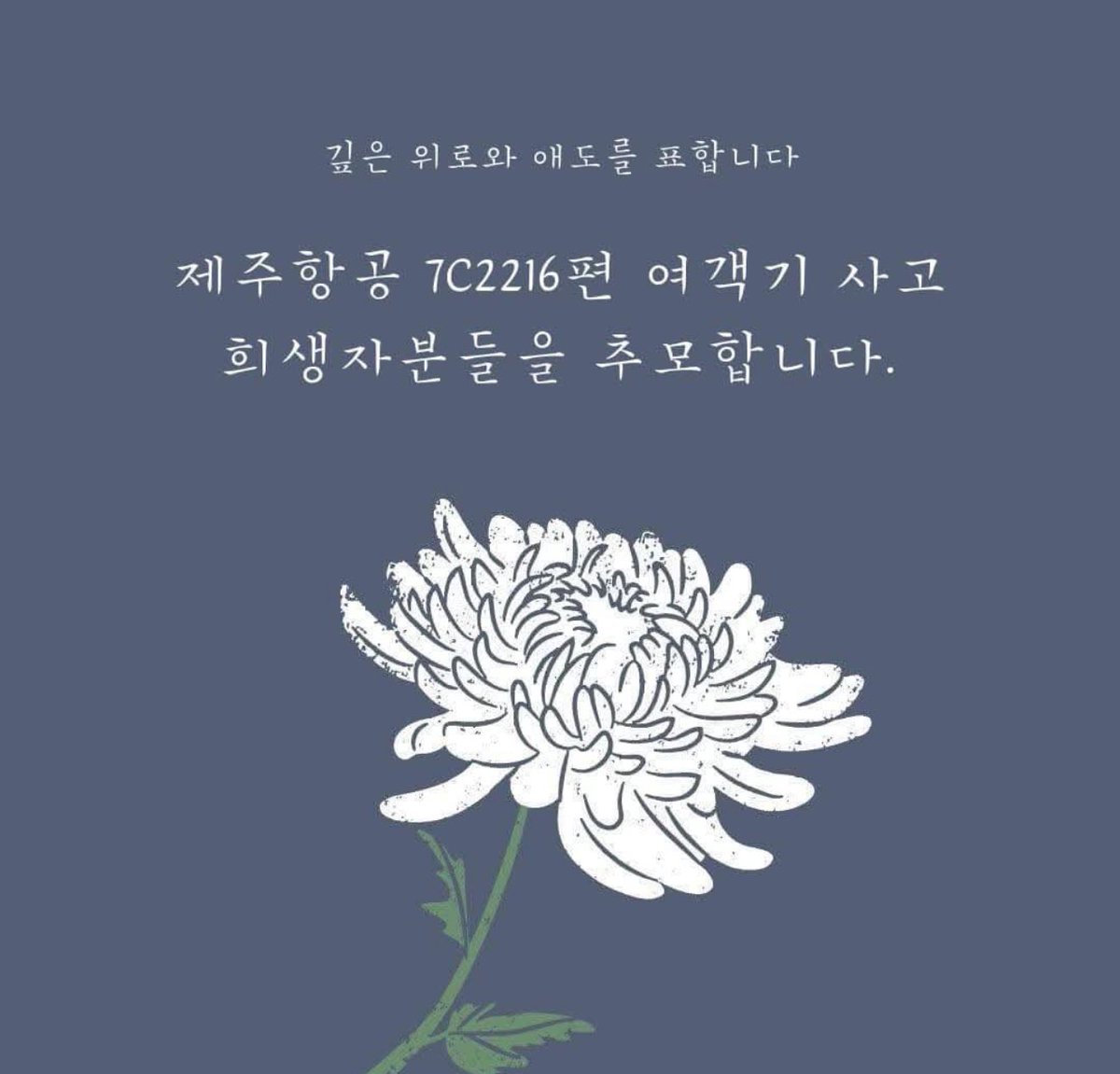 지방러인....팜트리에 달린 코코넛🥥 (@seulgicha2) on Twitter photo 