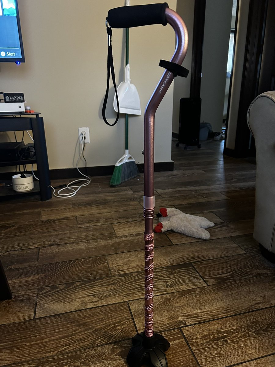 everyone stop erasing viktors disability and start giving him a bedazzled cane like mine