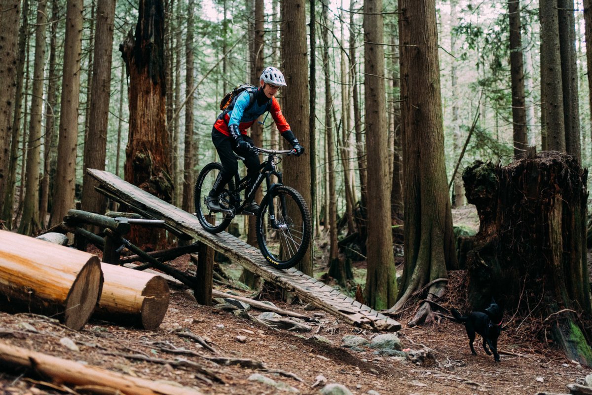 essentialcycles's tweet photo. Every trail is an adventure when you have your furry co-pilot by your side. Here's to miles of smiles and tail wags. #RidingWithPaws

📸 @tandem.photography https://t.co/OwzesCdwEi