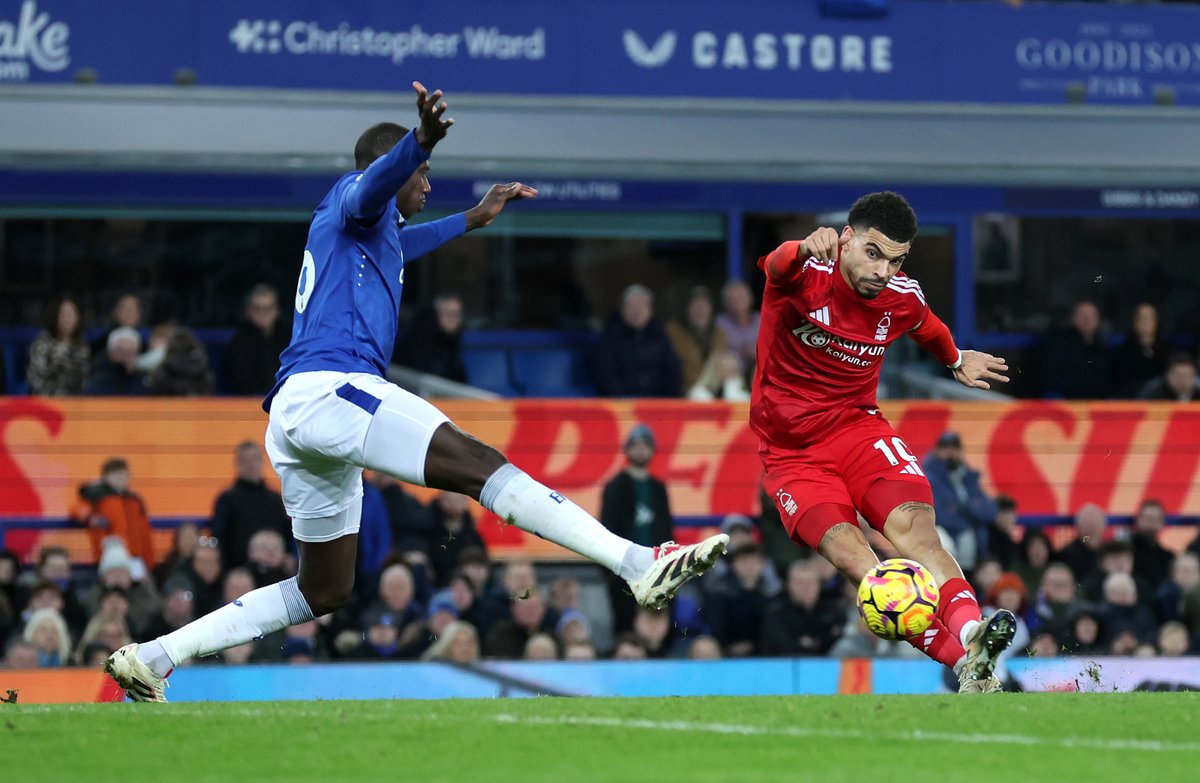 𝗧𝗵𝗲 𝗧𝗼𝗳𝗳𝗲𝗲 𝗕𝗹𝘂𝗲𝘀 tweet media