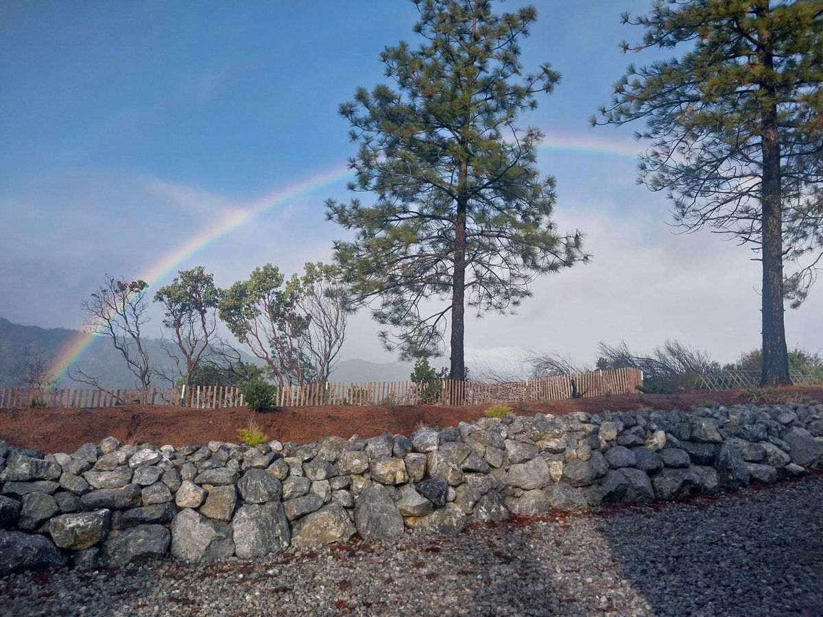 systemdefect's tweet image. 