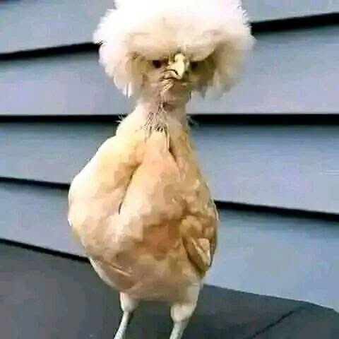 DrewTopz 😎 tweet media