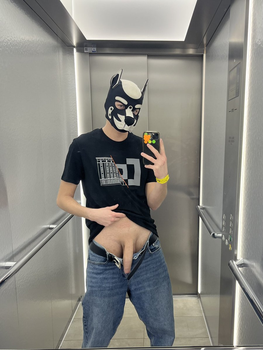 Wanna go for a ride ? 🐶😏

#exhib #gay #puppy