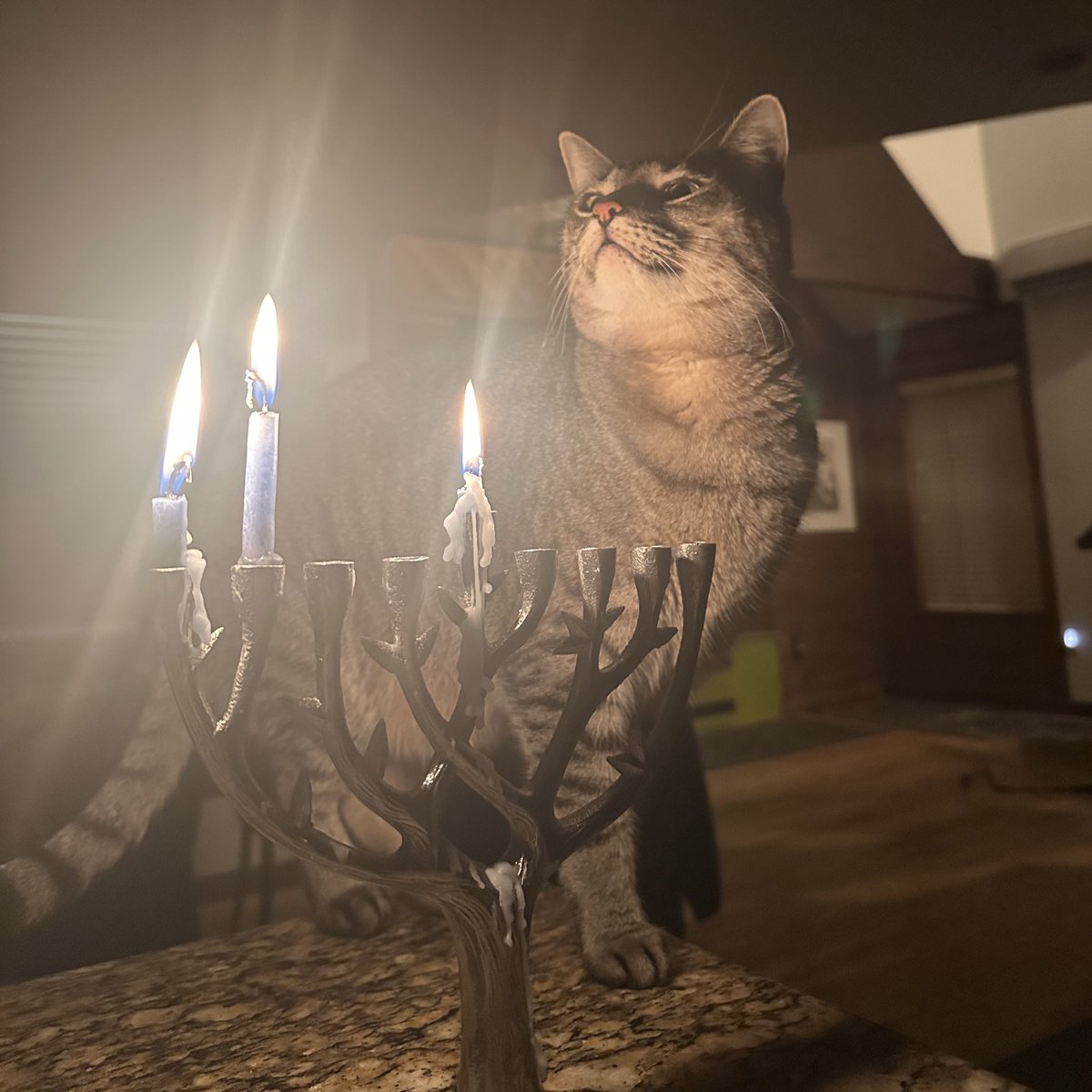 Oh it’s candles holiday