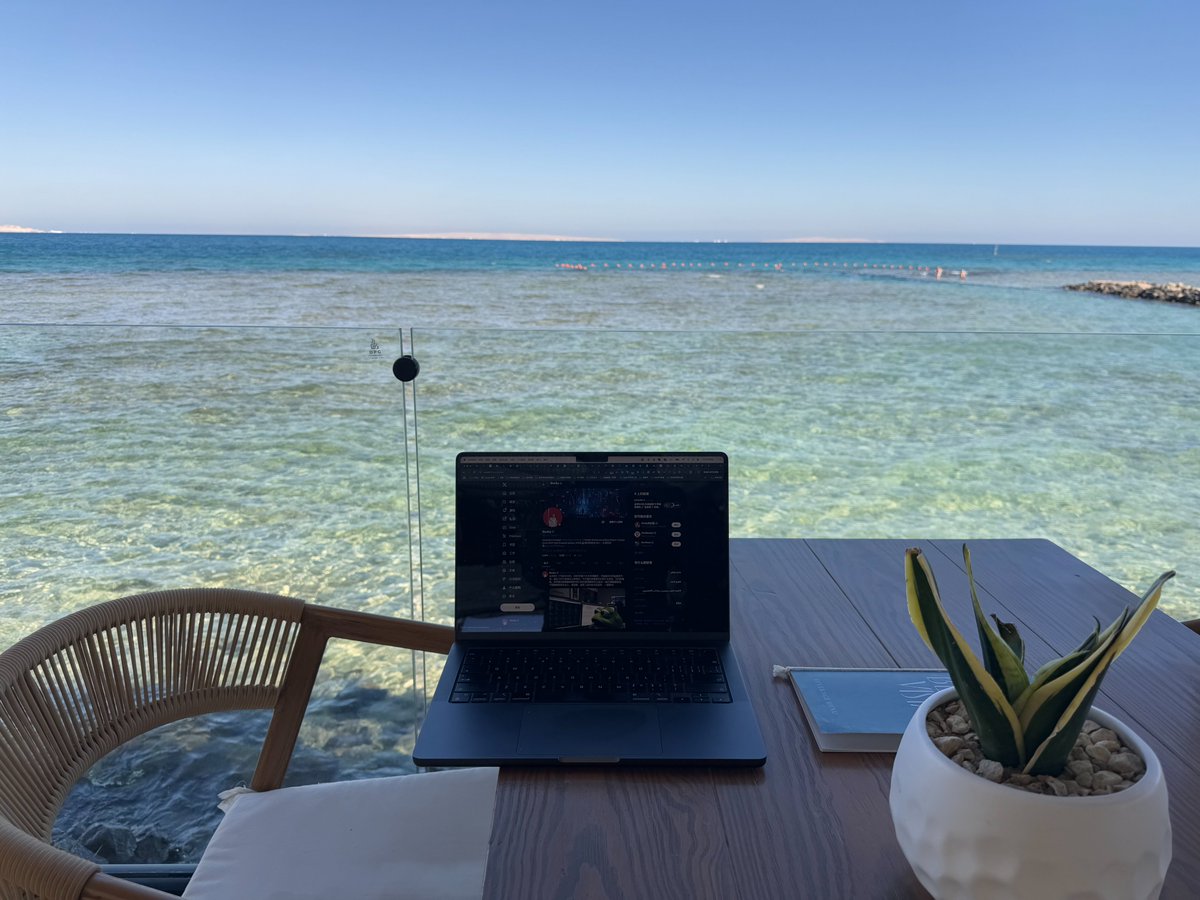 这不最近圣诞节休假，海边🏝️小住了几日，把全球主要投资银行的报告看了一个遍，《2025年投资展望》，汇总如下，按重要程度，从上到下，梳理了一遍，值得一看：

其中提的最多的是：#AI，#AI，#AI ，重要的事说三遍！

1.贝莱德：blackrock.com/us/financial-p…

2.巴克莱：privatebank.barclays.com/content/dam/pr…