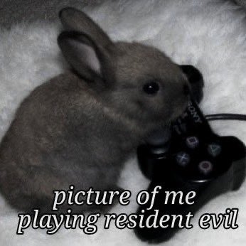 ⌗ ┆looking for moots ! ★ ₊ ˚⟡

⟡ she/her 18+
⟡ ow2, league, dbd, marvel rivals 
also a lot of single players like ff &amp; kh
⟡ horror, anime, sanrio, vkei

♡ / ↻ to be moots, ifb !

#owtwt #valtwt #anitwt #gamingtwt #aottwt #jjktwt #promotwt #marvelrivals