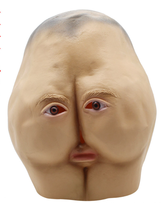4 pic. Apparently eBay sells a costume of @SenAdamSchiff.

See for yourself. https://t.co/qEiknLNudb