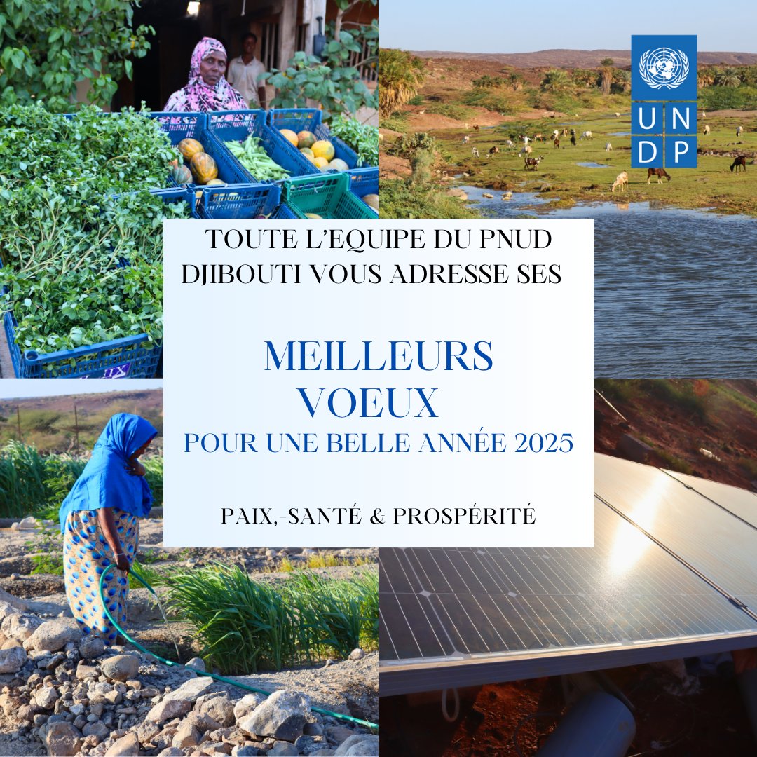 PNUD Djibouti - UNDP Djibouti (@pnuddjibouti) on Twitter photo 🎉#HappyNewYear2025
Toute l'équipe du <a href="/PNUDDjibouti/">PNUD Djibouti - UNDP Djibouti</a> 🇩🇯se joint à <a href="/anoh_emma/">Emma Anoh</a> pour vous souhaiter à toutes et tous d'excellentes fêtes de fin d'année et vous adresser ses meilleurs voeux pour 2⃣0⃣2⃣5⃣.🎇
Au menu de ce que nous vous souhaitons : Paix 🕊️, Santé ⚕️et Prospérité 🫰! 🎉#HappyNewYear2025
Toute l'équipe du <a href="/PNUDDjibouti/">PNUD Djibouti - UNDP Djibouti</a> 🇩🇯se joint à <a href="/anoh_emma/">Emma Anoh</a> pour vous souhaiter à toutes et tous d'excellentes fêtes de fin d'année et vous adresser ses meilleurs voeux pour 2⃣0⃣2⃣5⃣.🎇
Au menu de ce que nous vous souhaitons : Paix 🕊️, Santé ⚕️et Prospérité 🫰!