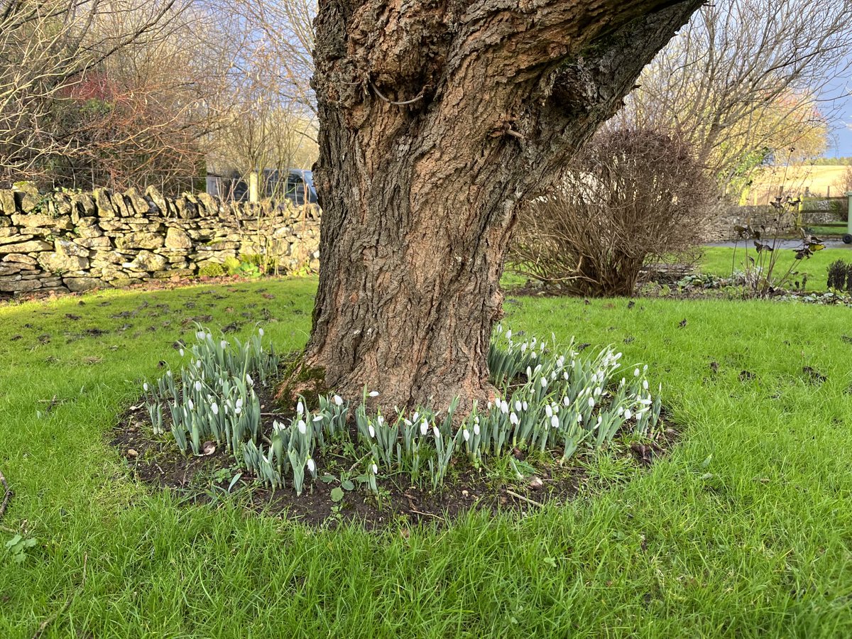 #daysarelengthening #signsofspring