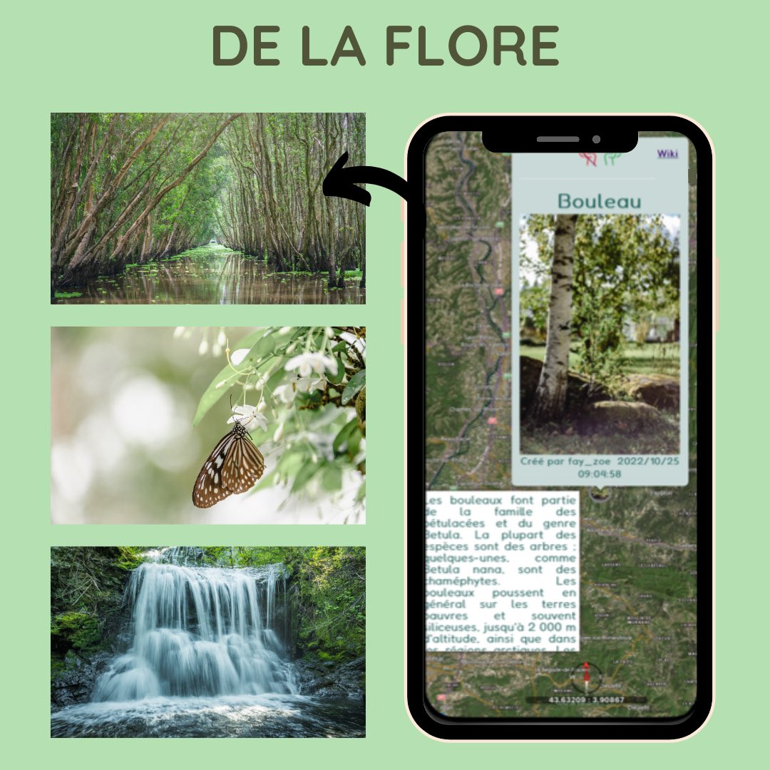 SeeOnSea's tweet photo. 🌍 SeeOnSeaVIEW, centralise des informations essentielles sur : 

🐐La richesse des espèces locales sur votre territoire . 
🌿Les végétaux qui façonnent nos paysages. 
🗓️Les événements et initiatives locales pour l’environnement. 
🚧Les zones pour planifier vos déplacements. https://t.co/FvS2g4rJPU