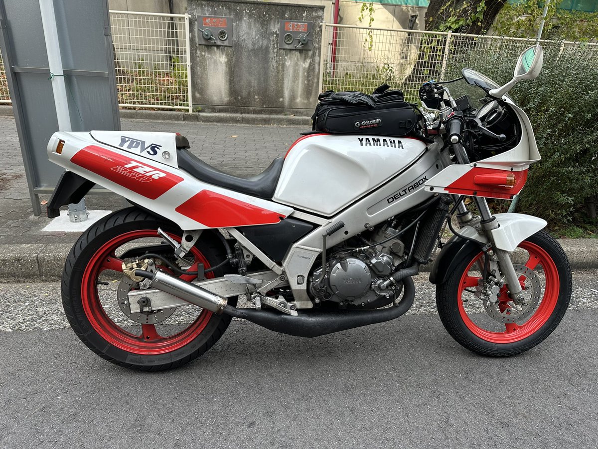 NknsKj's tweet photo. 良いお年を
#TZR250 #2Xt https://t.co/BEaA7V07qZ