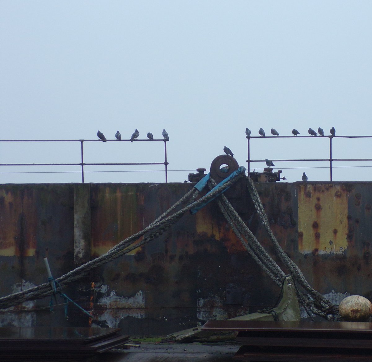 Down at the dock. My photo. #Liverpool #photo