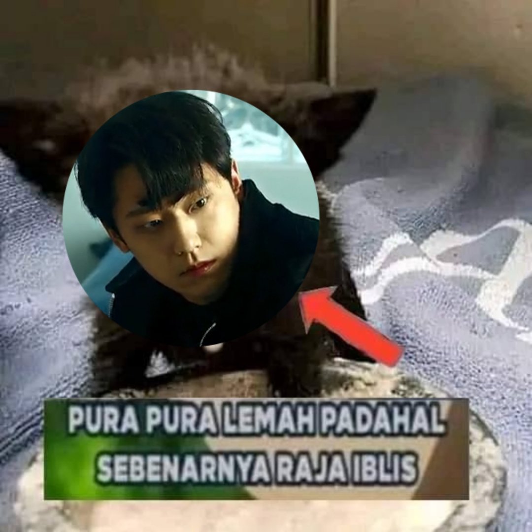 makandimeja's tweet image. Wks udhlh.