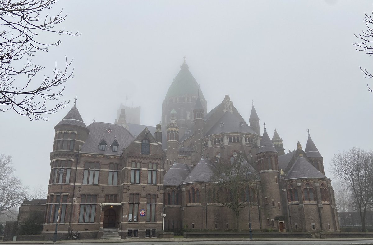 Sandra Greeuw tweet media