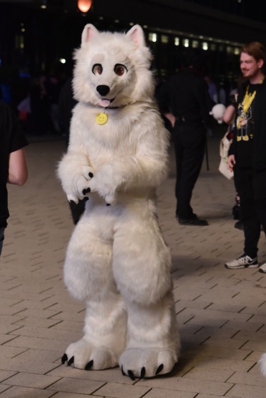 Cyber (@pdcyberrr) on Twitter photo PUPPY 🥹🐶
📸: <a href="/Kiba_Wolfy/">Kiba_Wolfy ▶️ @EF29</a> PUPPY 🥹🐶
📸: <a href="/Kiba_Wolfy/">Kiba_Wolfy ▶️ @EF29</a>