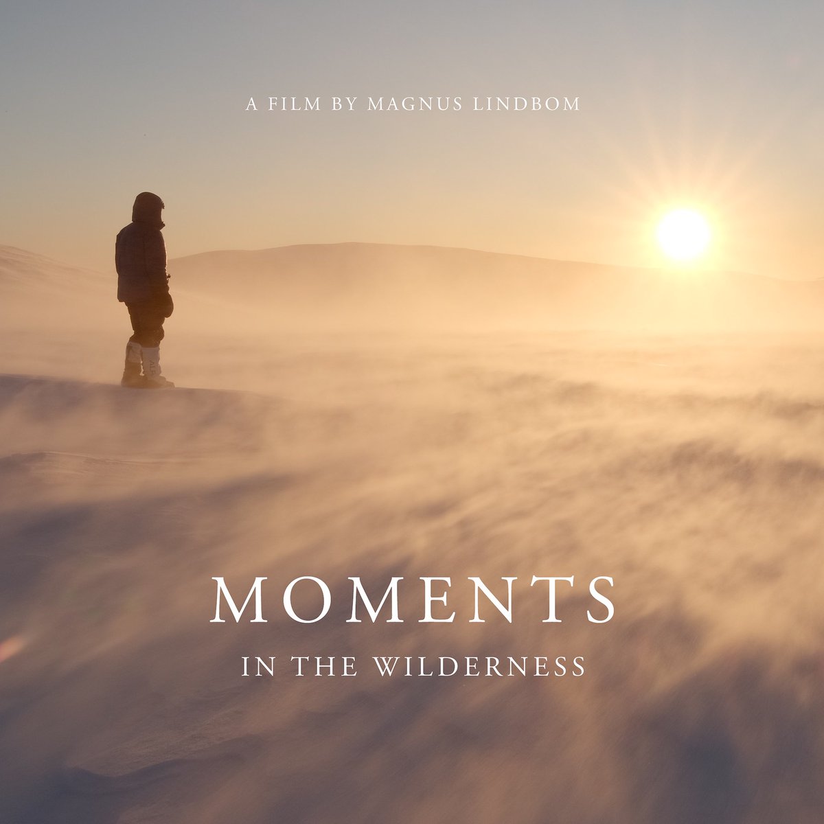 Magnus Lindbom tweet media