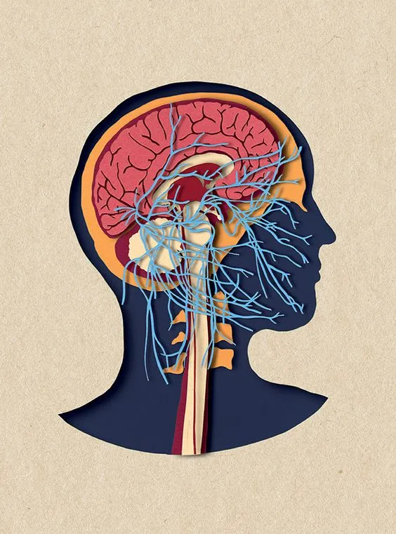 despertar's tweet photo. La Psicología Somática es la mejor manera de reprogramar tu cerebro, sanar traumas y restaurar tu sistema nervioso. 

Te cuento todo lo que necesitas saber sobre esta poderosa herramienta terapéutica 🧵 https://t.co/cntZ9X0xmn