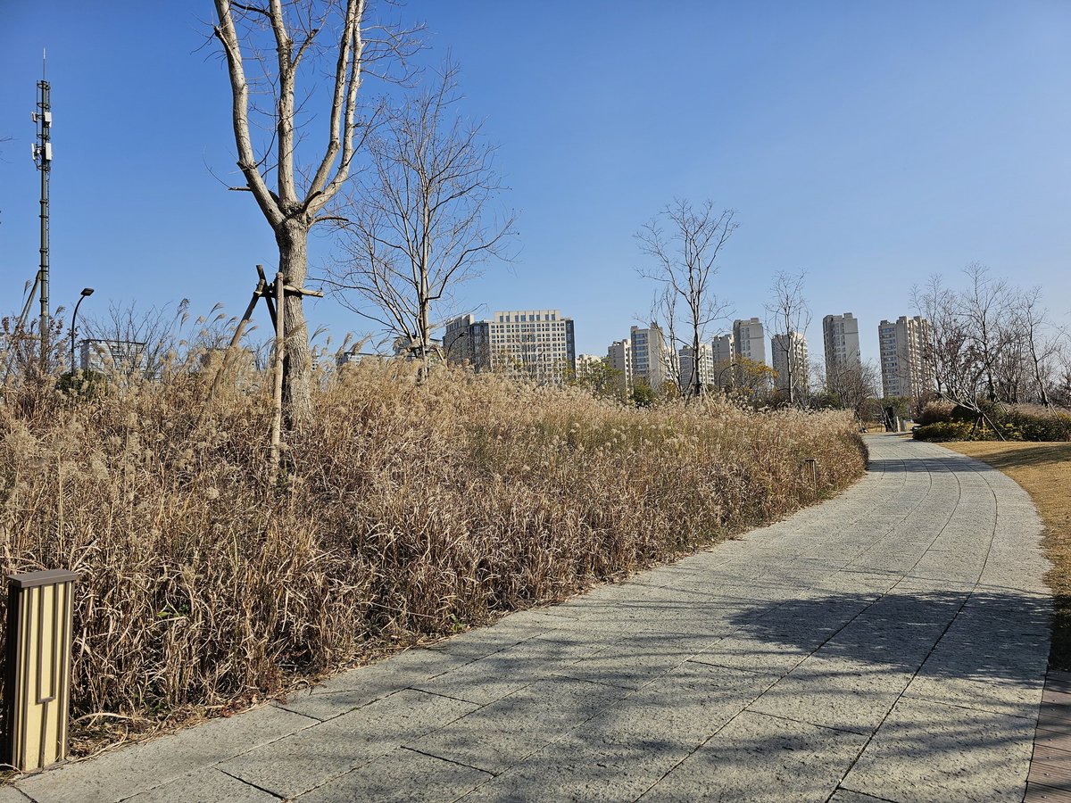 Maybe a terrible decision