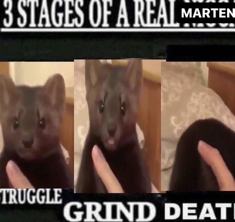 selthonin tweet media