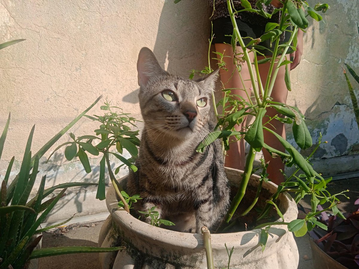 ☆ bea ☆ tweet media