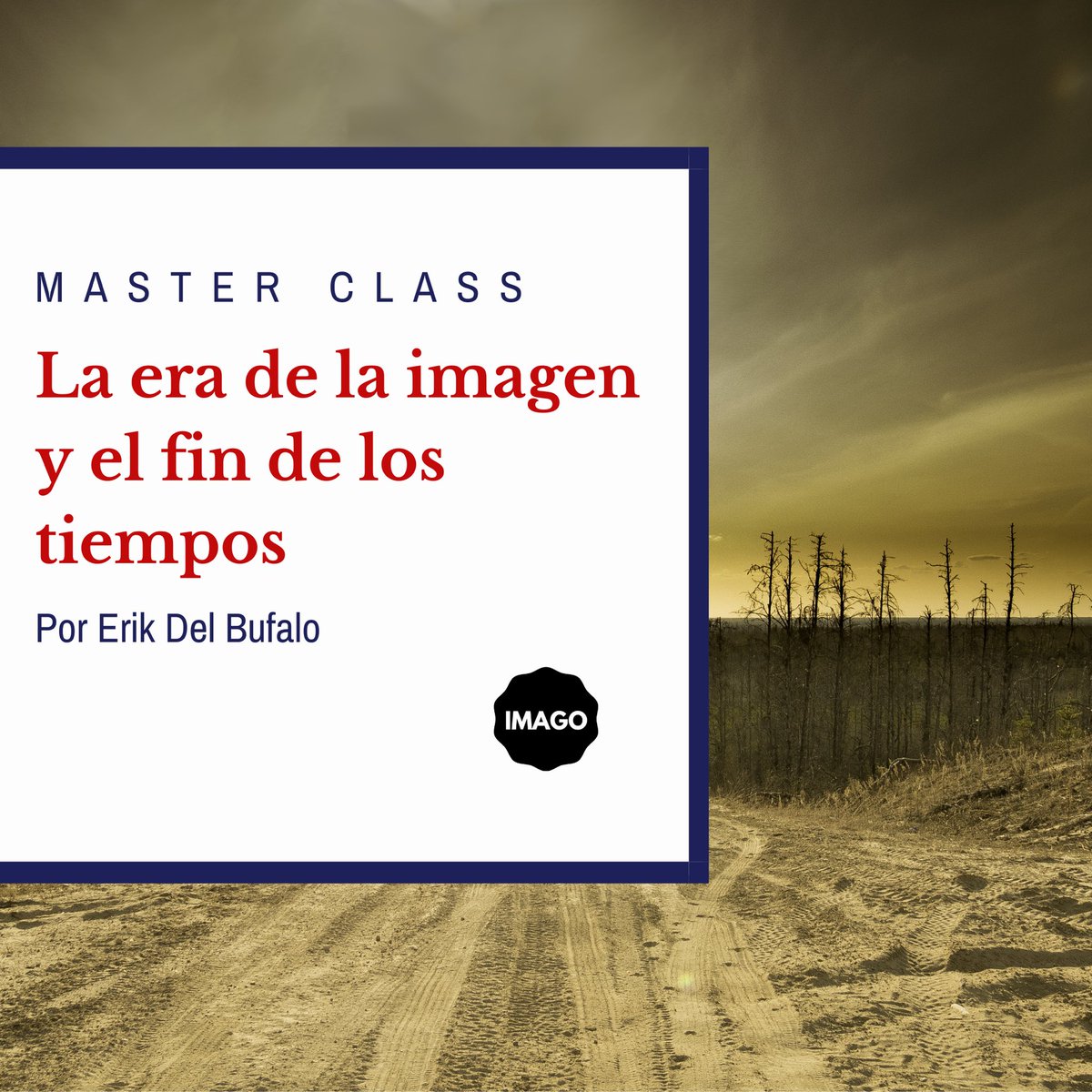 Programa de Formación Fotográfica IMAGO Plus tweet media