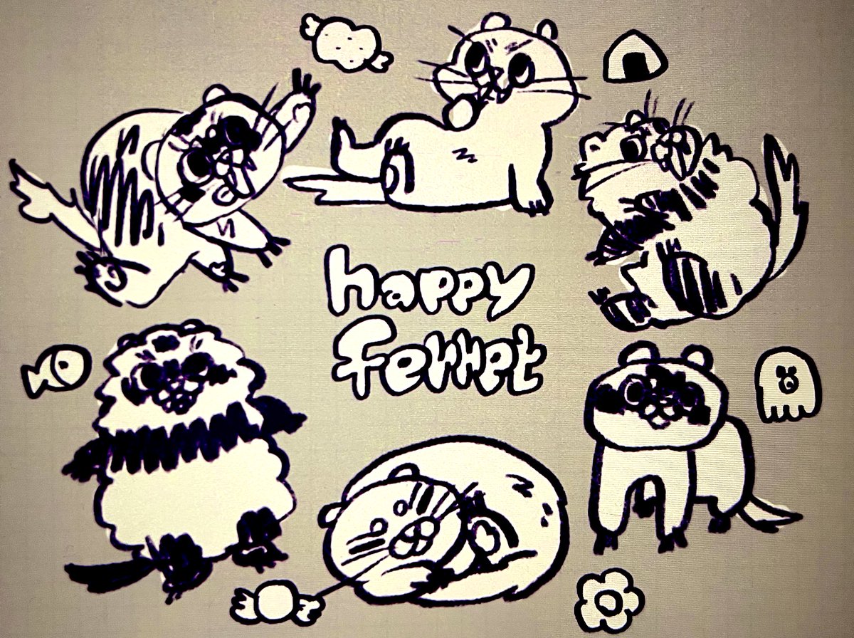 フェレットとレオパのや〜つ!!
#usachimus
#pr #宣伝 #広告
#フェレット
#レオパ