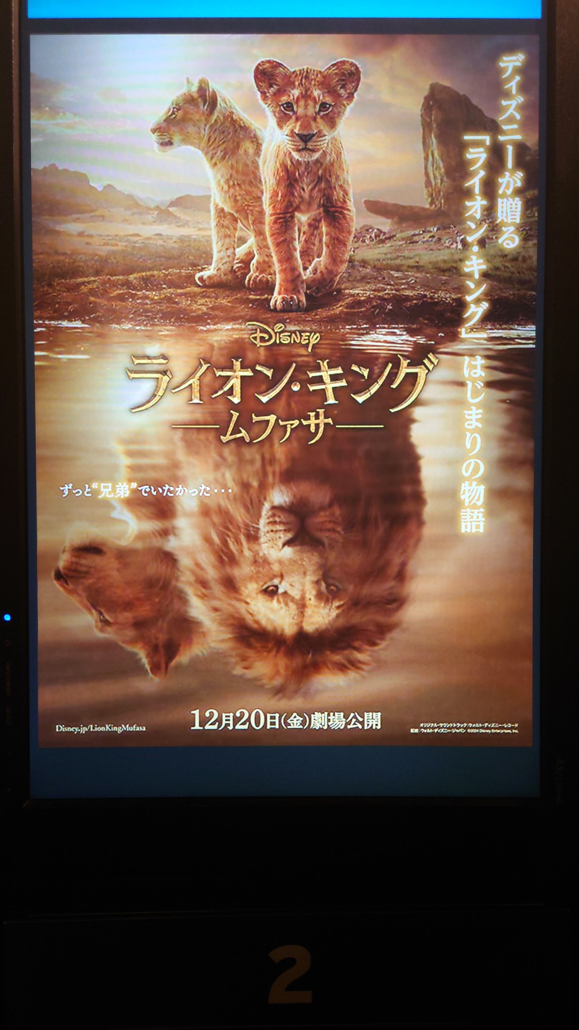 【希少】GINZA WAKO ライオン親と子 ネオ Name:NEO 🦁 #動物 #動物好きな人と繋がりたい #動物写真
