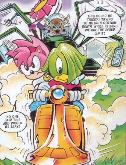 In the Sonic the Comic fan ending (written by original writer Nigel Kitching), Amy is revealed to be in a loving lesbian relationship with Tekno the Canary. They even adopted and are raising a child together. 
