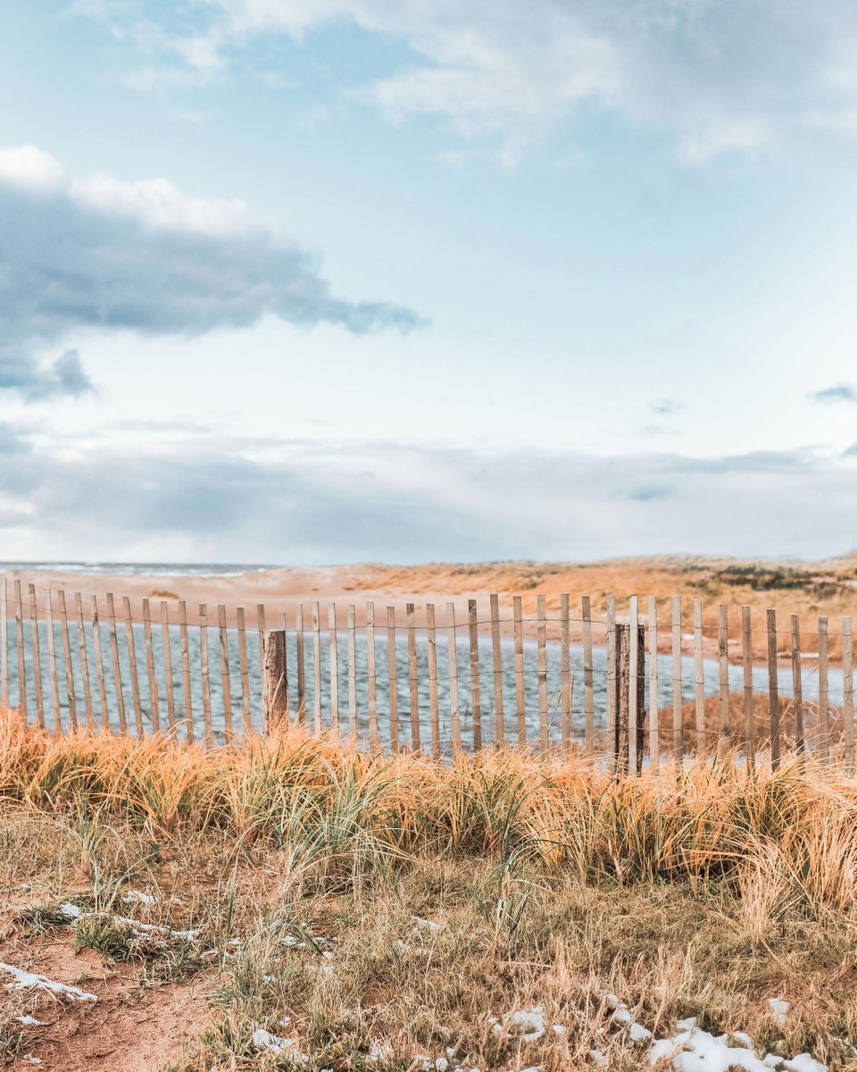 Walking along the North Shore into 2025 - that's where we want to be 🌊💛

Will we see you at Cavendish Beach in 2025? Let us know in the comments!