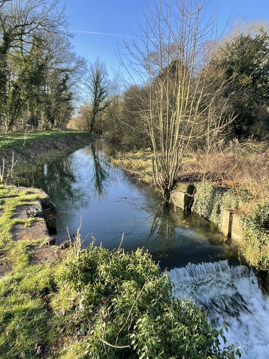 Kevin Scrupps (@kevinscrupps) on Twitter photo Day 4, joined by <a href="/smscrupps/">Sharon</a> <a href="/tomscrupps/">Tom Scrupps</a> <a href="/chalkytim/">Tim White</a> for a walk along the river Slea, another 15.4km completed, that’s 40km in the last 4 days supporting BreastCancer100 and <a href="/CoppaFeelPeople/">CoppaFeel!</a> any donations to support this fantastic charity are greatly appreciated by the team. Day 4, joined by <a href="/smscrupps/">Sharon</a> <a href="/tomscrupps/">Tom Scrupps</a> <a href="/chalkytim/">Tim White</a> for a walk along the river Slea, another 15.4km completed, that’s 40km in the last 4 days supporting BreastCancer100 and <a href="/CoppaFeelPeople/">CoppaFeel!</a> any donations to support this fantastic charity are greatly appreciated by the team.