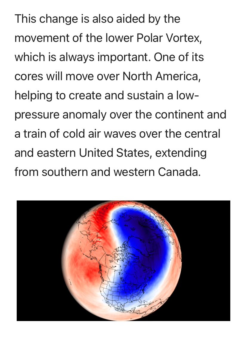Tweet image 1