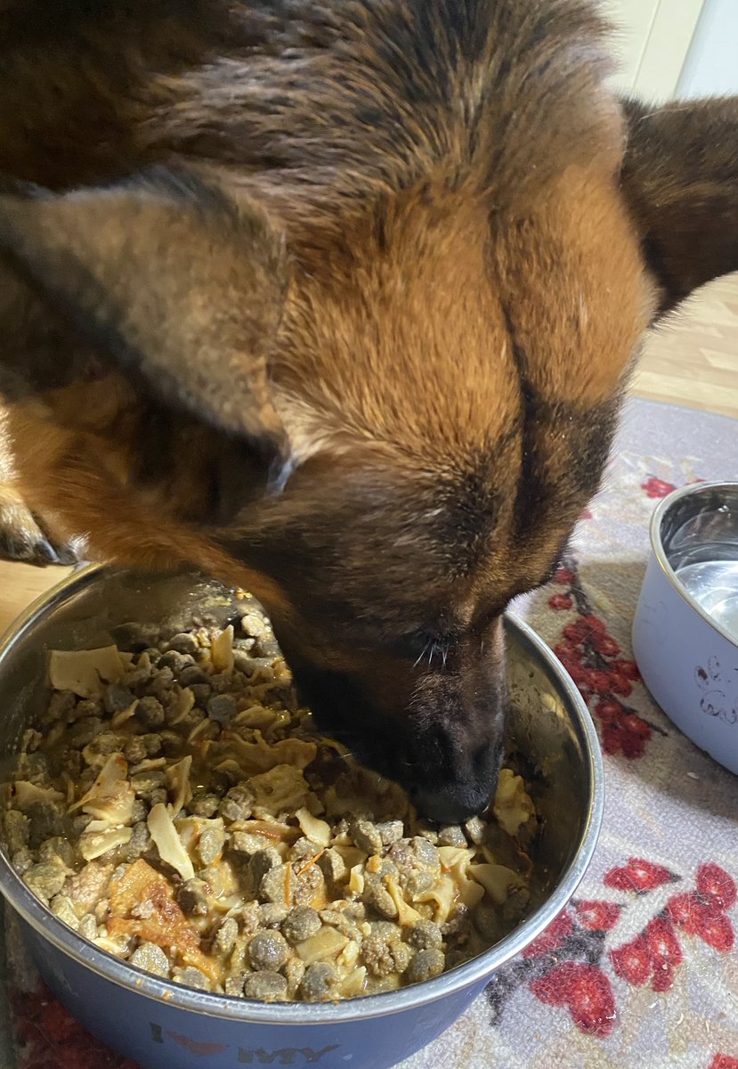 Jouluruuat on nyt syöty ja meikäläinen vaihtoi lasagneen. 

Lisähuomiona, että emäntä pakkasi erilliseen pussiin viikon nappulat. Muuta pakkailua ei ole vielä havaittu, jatkan herkeämätöntä tarkkailua!