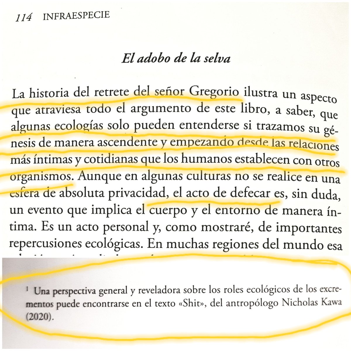 Antropóloga luna tweet media