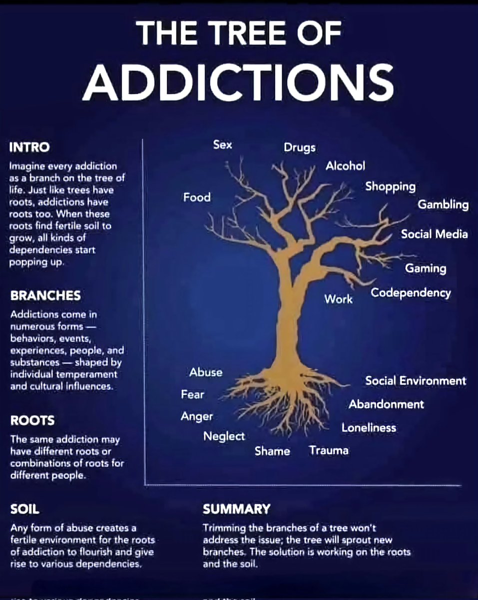 Start addressing the Root Cause and stop Chasing the Symptoms. Recovery is Possible!