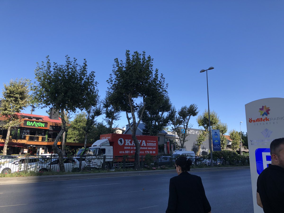 Xenea tweet media