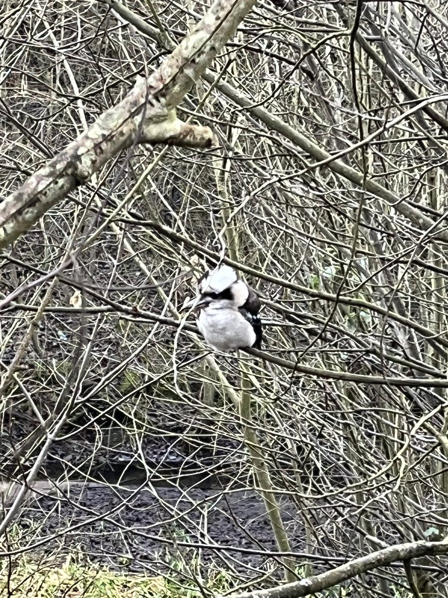 Daniel Bailey tweet media