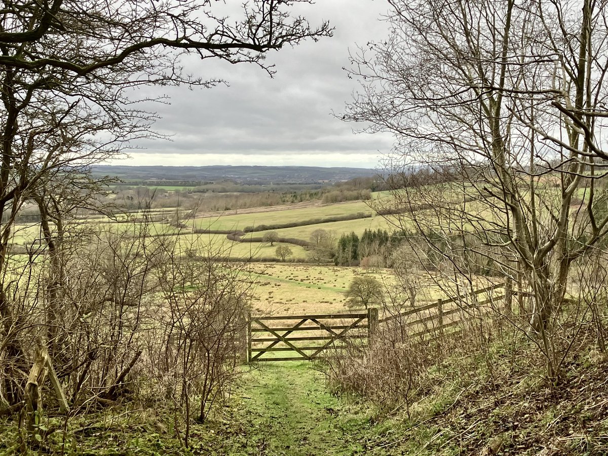 Rachel Hewitt tweet media