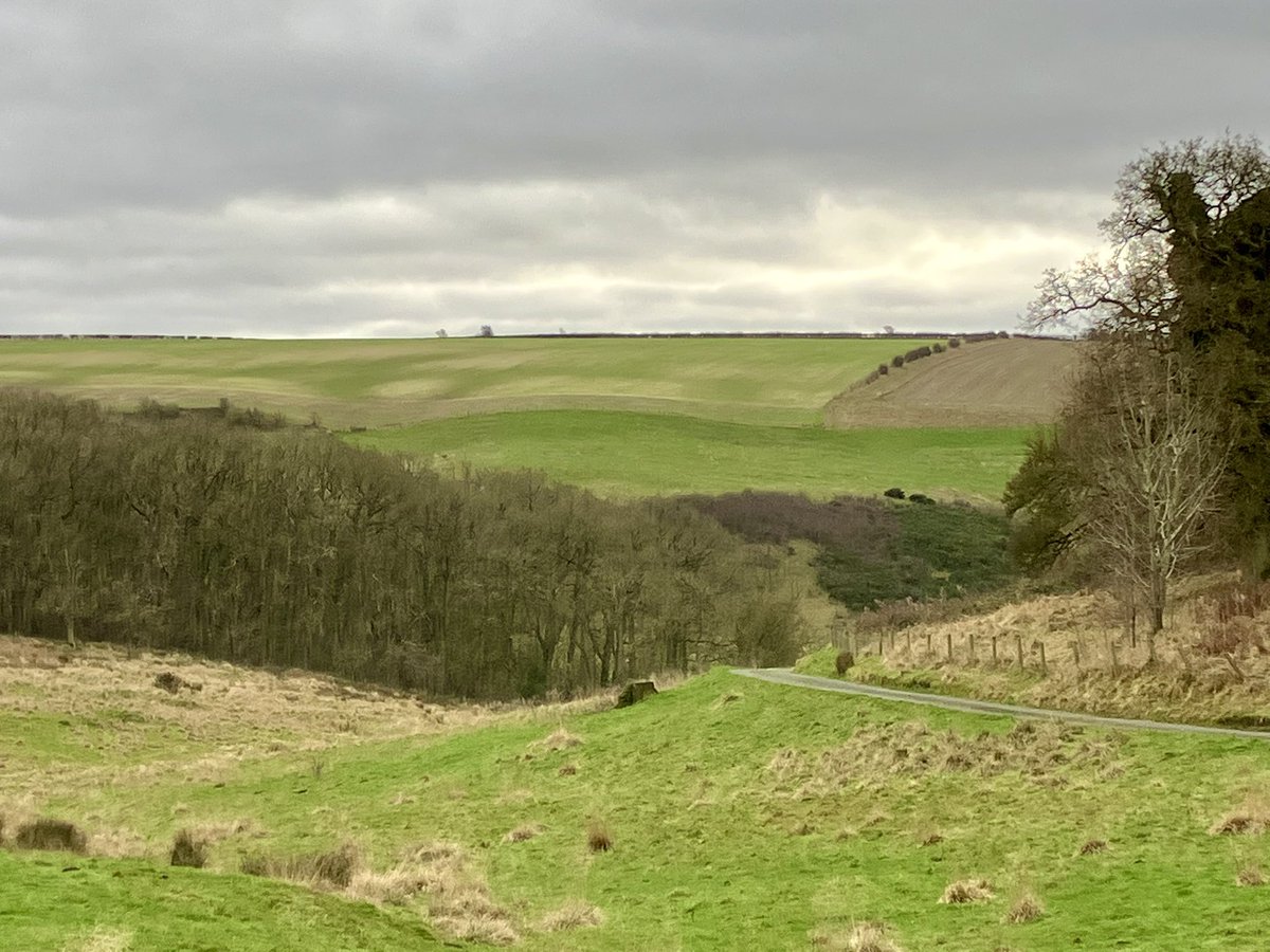 Rachel Hewitt tweet media