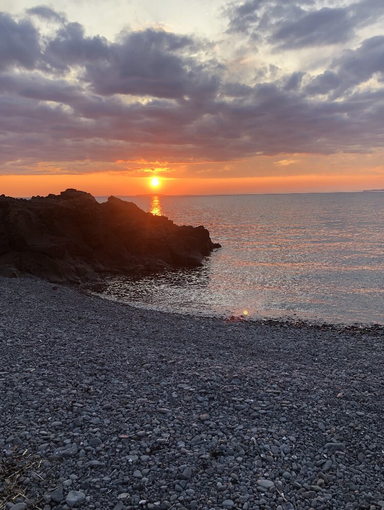 PlanZero tweet media