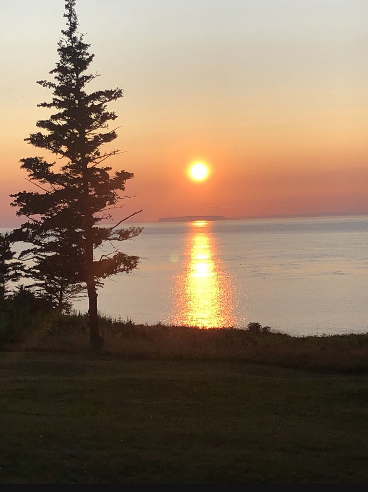 PlanZero tweet media