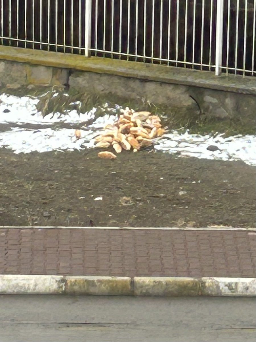 Evimize ekmek götürebiliyorsak ne kadar şükretsek azdir.