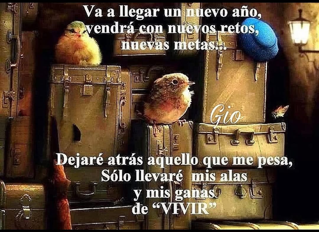 MarialeTrujillo's tweet image. #FelizDomingo #FelizNavidad2024