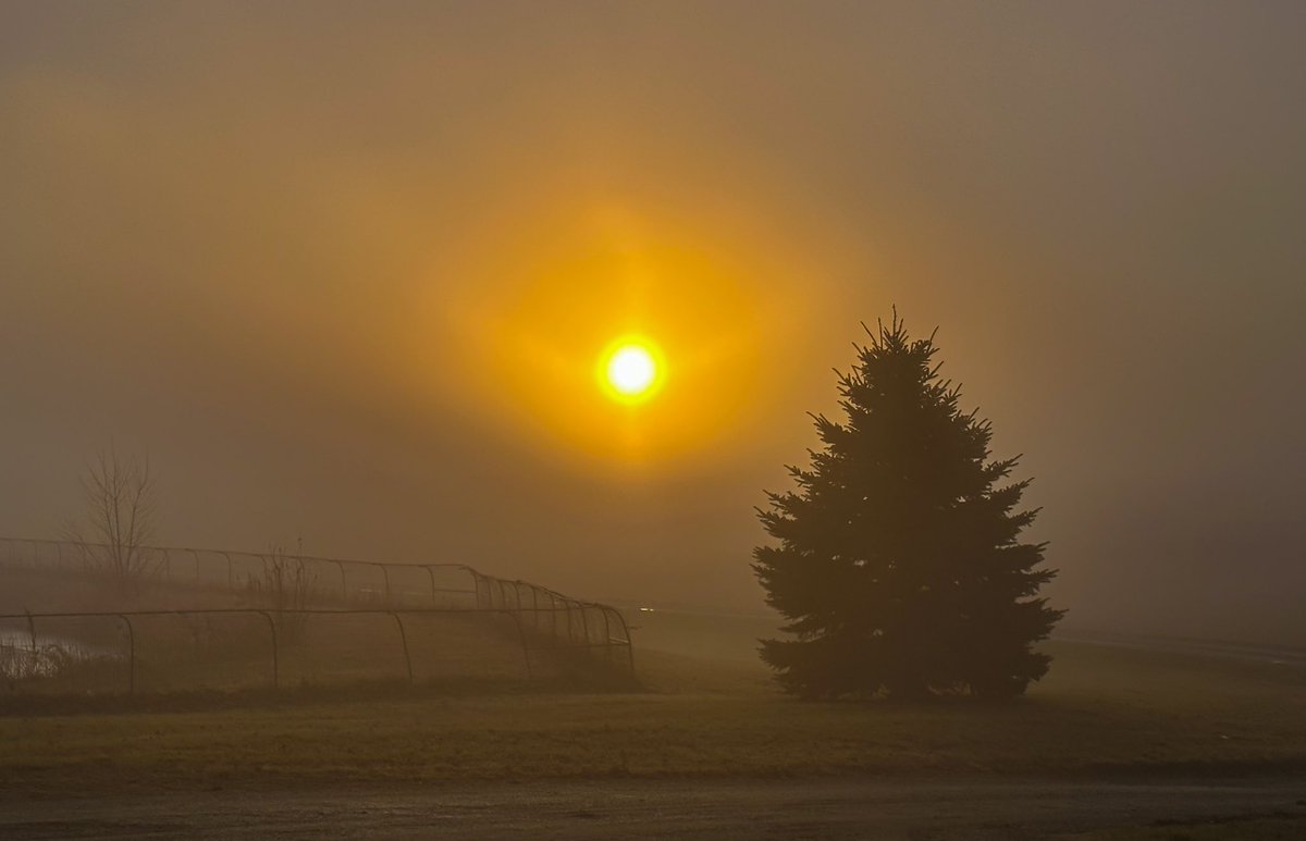 58groe's tweet photo. December in Iowa. One day, sunrise and sunset. @IAStormChasing @IowaWXNetwork @StormchaserUKEU @KIMTWeather @KCCIWeather @JSydejkoKCCI @ChrisKuball https://t.co/VpwBQdJFe8
