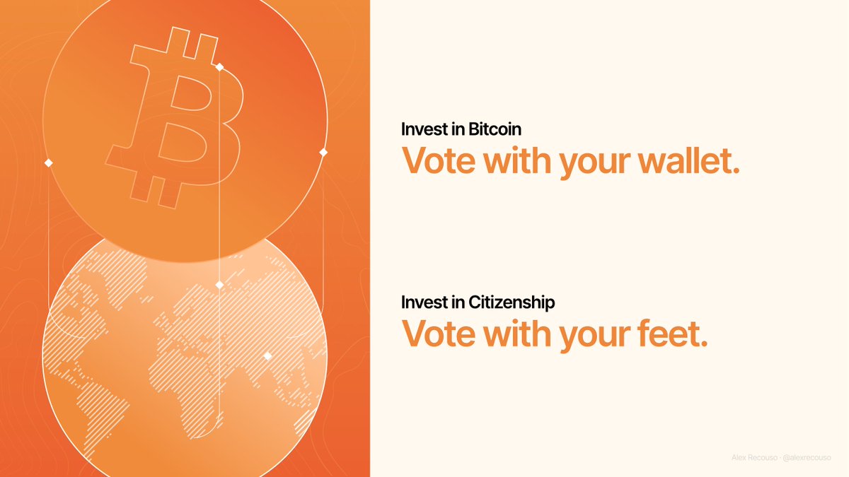 Alex Recouso tweet media