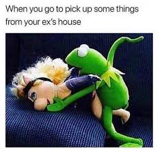 OnlyFrogsx's tweet photo. https://t.co/0imxLFtpYA